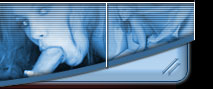 Adult Flics - Porn Videos and Full Length Porn Movies